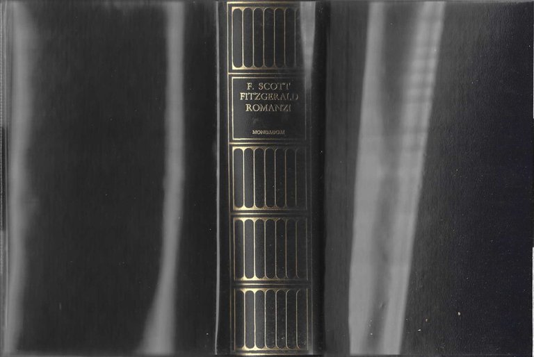 Romanzi (FITZGERALD)