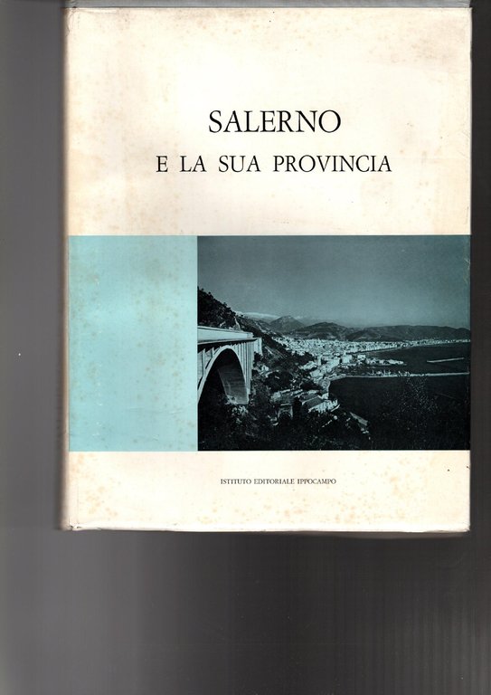 SALERNO E LA SUA PROVINCIA RASSEGNA GIORNALISTICA DI M. T. …