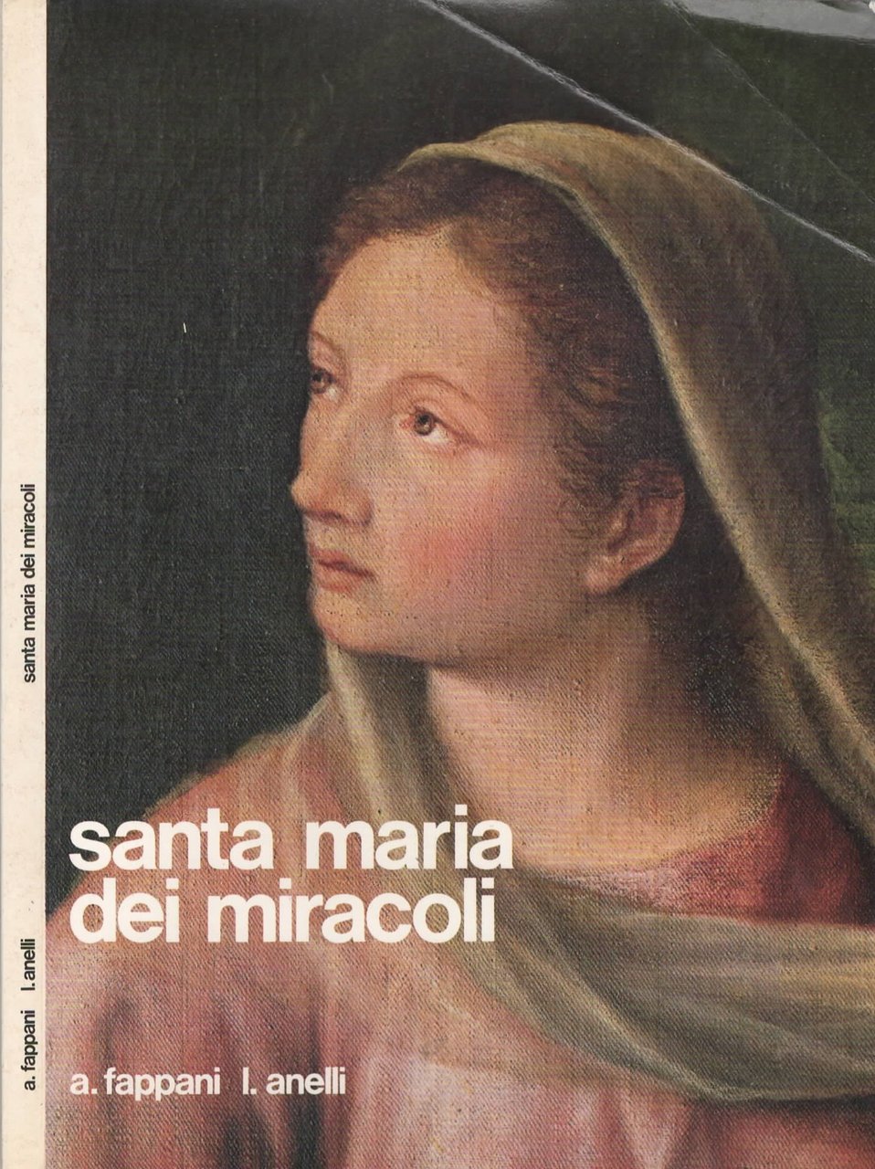 Santa Maria dei miracoli Guida