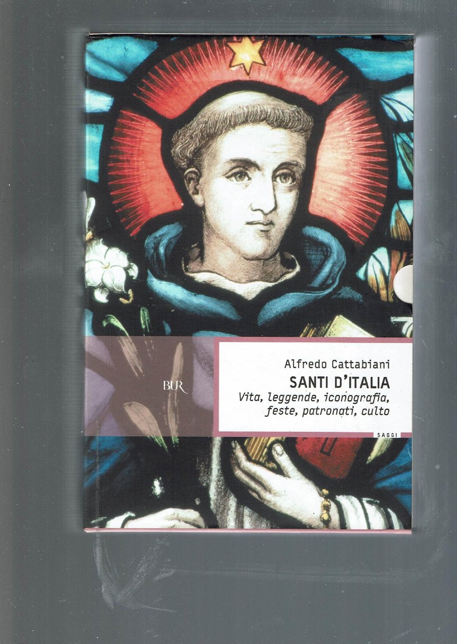 SANTI D'ITALIA VITA LEGGENDE ICONOGRAFIA FESTE PATRONATI CULTO 2 VOL.