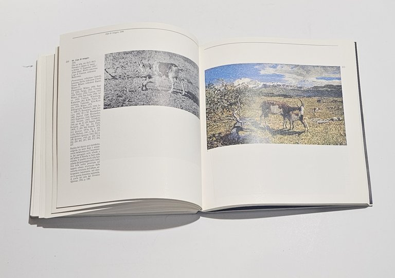 Segantini libro Electa monografia arte pittura divisionismo | Immagine Gallery 2