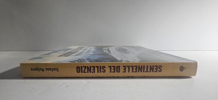 Sentinelle del Silenzio – Stefano Molgora – Architetture Grande Guerra | Immagine Gallery 4