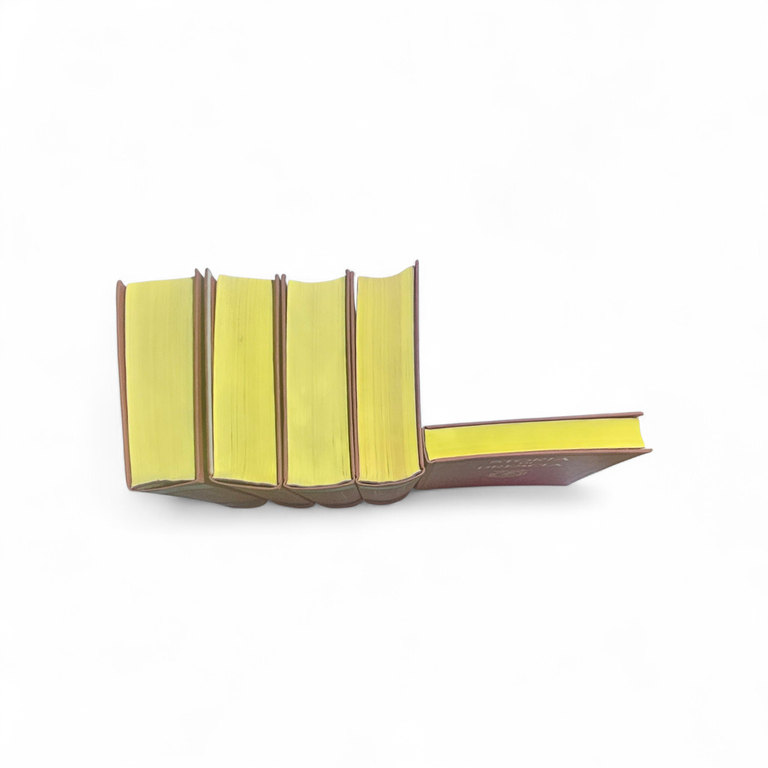 Storia di Brescia – Opera completa in 4 volumi – … | Immagine Gallery 11