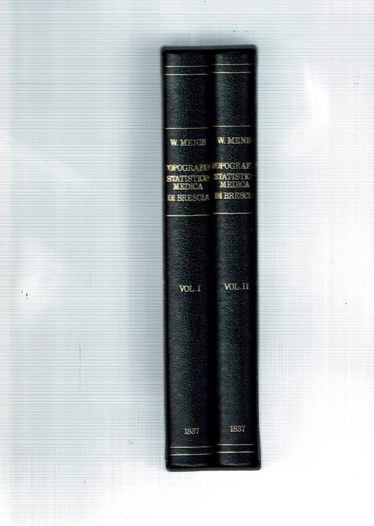 TOPOGRAFIA STATISTICO MEDICA DI BRESCIA 2 VOL