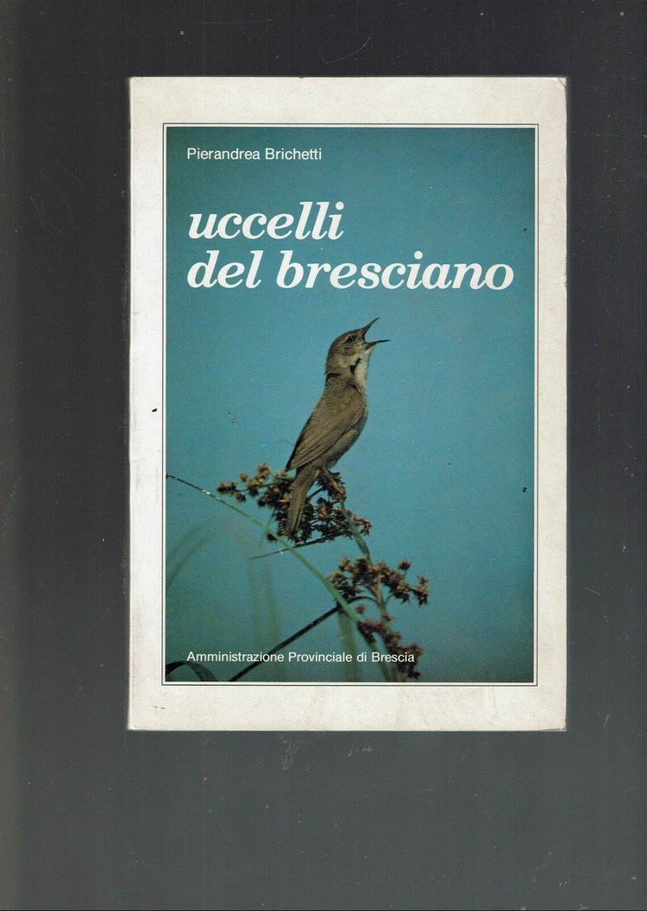 UCCELLI DEL BRESCIANO ** PIERANDREA BRICHETTI