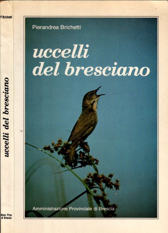 UCCELLI DEL BRESCIANO ** PIERANDREA BRICHETTI