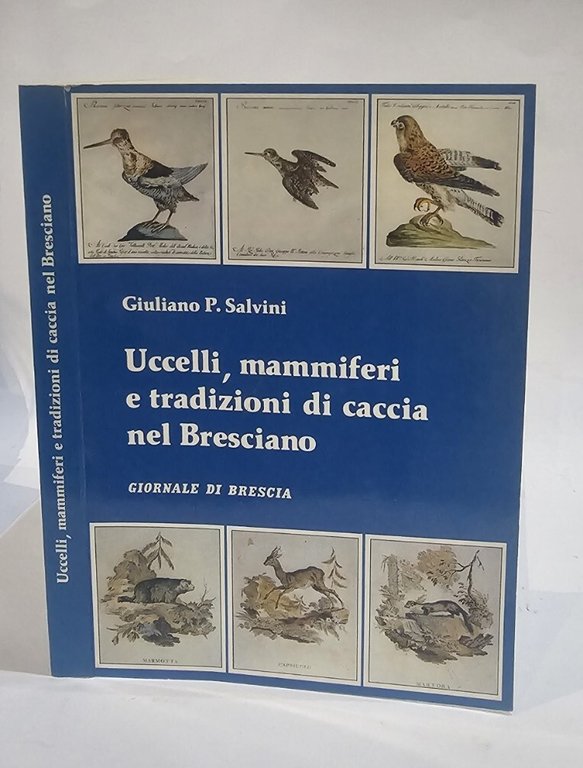 Uccelli, Mammiferi e tradizioni di caccia nel bresciano di Giuliano … | Immagine Gallery 2