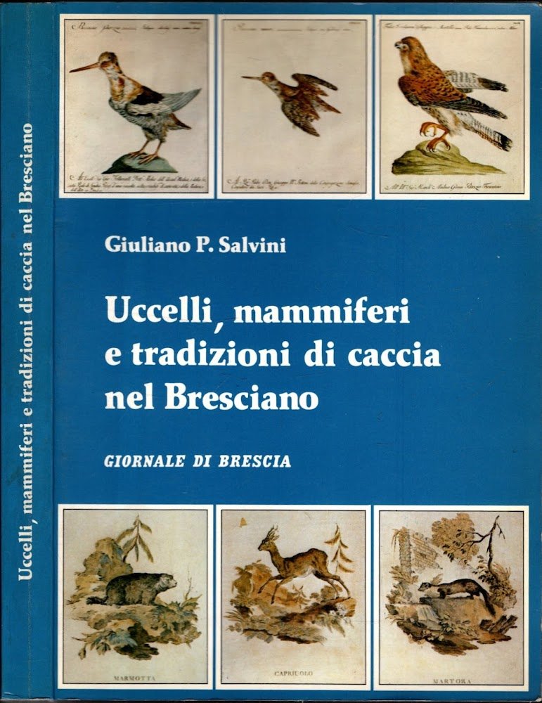 Uccelli, Mammiferi e tradizioni di caccia nel bresciano di Giuliano … | Immagine principale