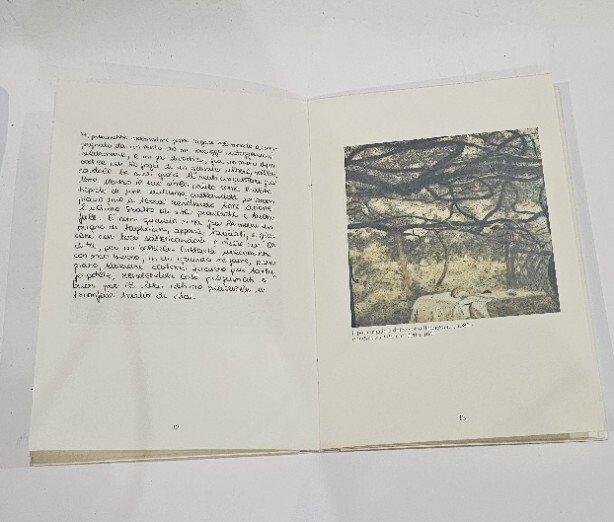 Un accoppiamento giudizioso. Dipinti di Antonio Saliola con un testo … | Immagine Gallery 2