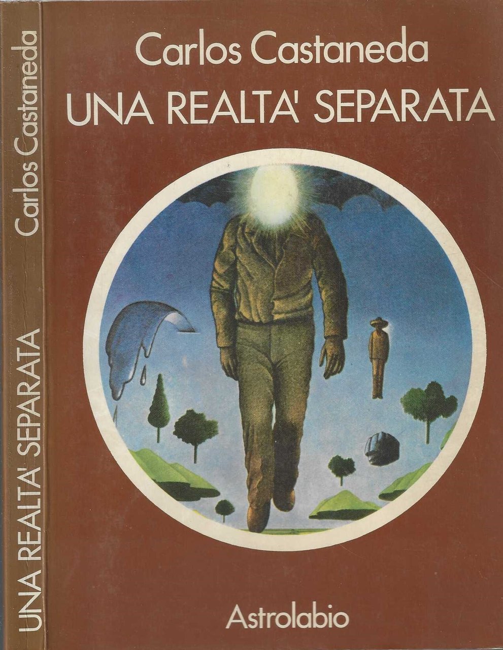 Una realtà separata. Nuovi incontri con don Juan