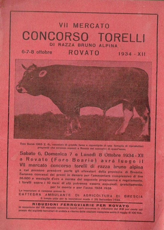 VII CONCORSO TORELLI BRUNO ALPINA ROVATO 6-7--8-OTTOBRE 1934 PROGRAMMA | Immagine Gallery 1