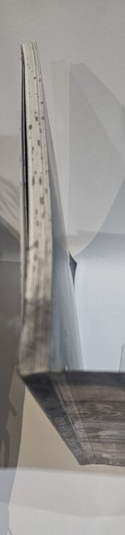 Villa Brunati. Storia, arte, restauro. Ediz. illustrata