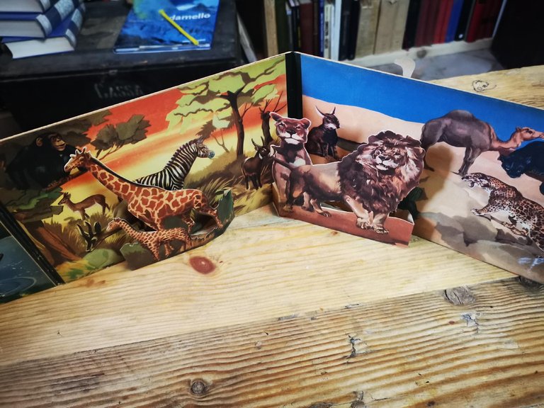 ZOO POP-UP