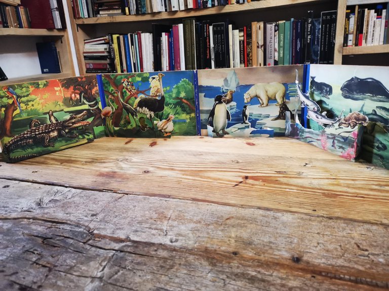 ZOO POP-UP