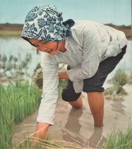 China Reconstructs Photographs 1952-1961 (Supplement to China Reconstructs) 1962