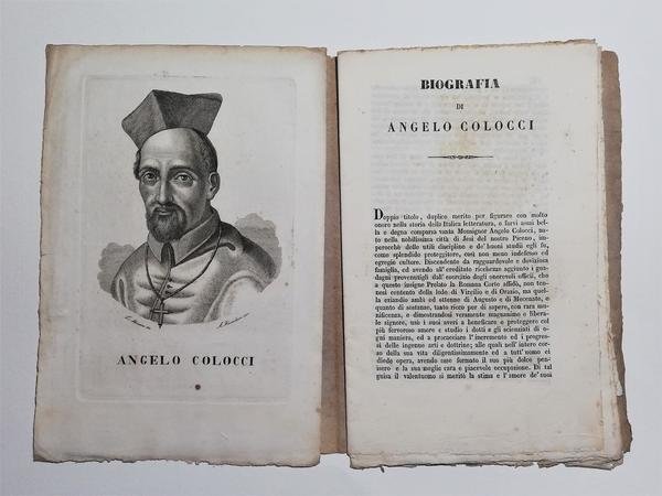 Biografia di Angelo Colocci biografie e ritratti dello Stato Pontificio …