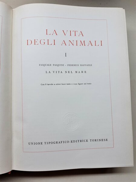 Pasquini Raffaele Chigi La vita degli animali UTET 1951 4 …