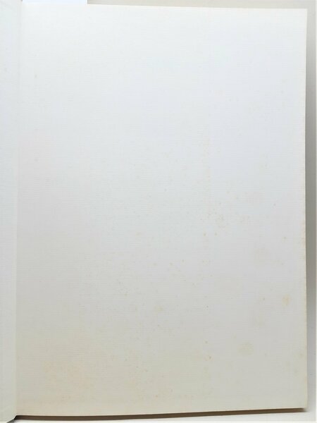 pittura arte impressionismo Tobien Felicitas Franz Marc L'Editore 1989