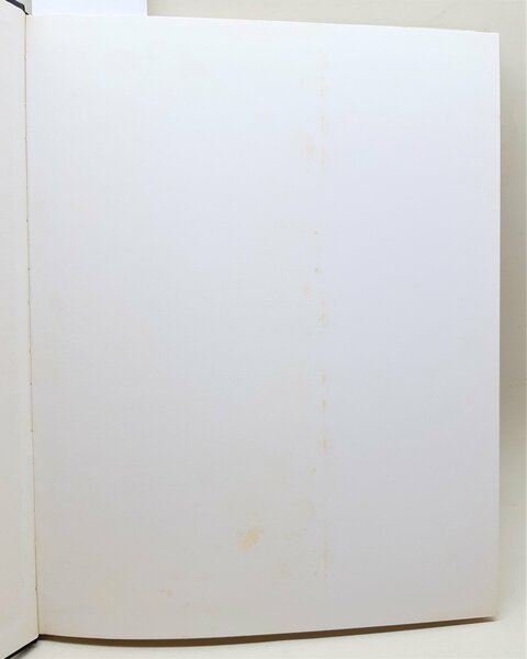 Rivista arte pittura Surrealismo Arte Max Ernst Sansoni 1969