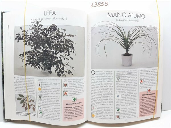 Enciclopedia delle piante 1994 Fabbri 1∞ edizione