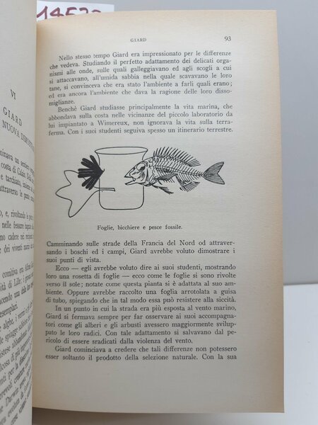 Route Moore Uomo tempo e fossili storia dell'evoluzione Garzanti 1954 …