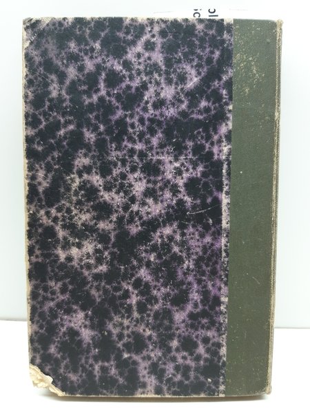 Camillo Castello Branco Amore sfrenato Brigola 1883