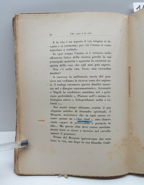 Mario Musella Frammenti di Scienza Napoli Idelson 1927