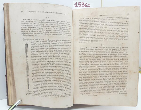 Haubner Trattato delle malattie interne ed esterne degli animali domestici …