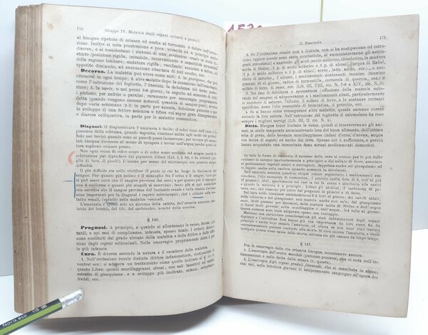 Haubner Trattato delle malattie interne ed esterne degli animali domestici …