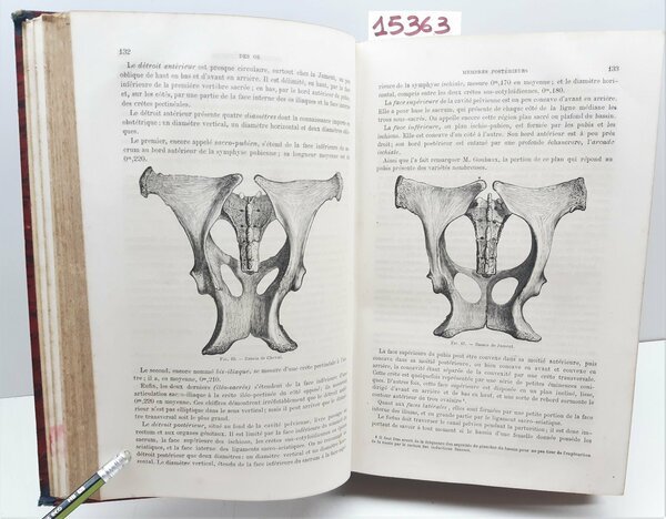 Traite d'anatomie comparÈe des animaux domestiques par a S. Arloing …