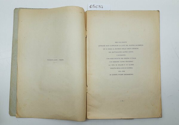 Battaglione Aosta cenni storici sulla campagna del Battaglione Aosta 1915-1918