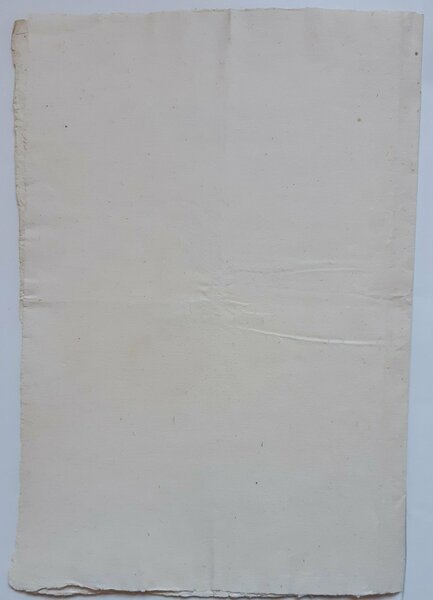 nomina Delegato Superiore al cordone sanitario | Immagine Gallery 1