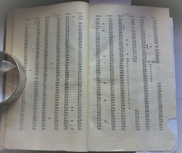 A. Lanzellotti Analisi delle leggi di procedura nei giudizi civili …