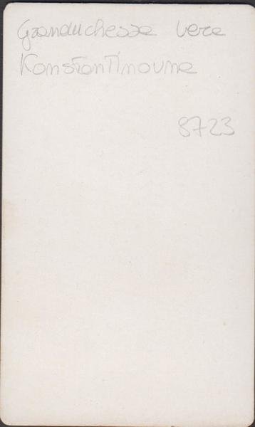 Foto photo cdv Granduchessa Vera Konstantinovna Romanova by Levitsky Mosca …