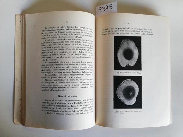 Giulio Catoni Malattie e Degenerazione della patata 1935 Arti Grafiche …
