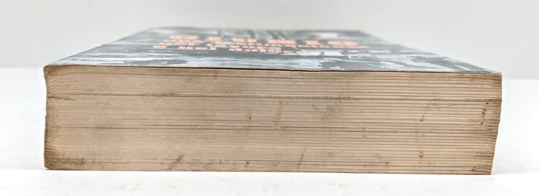 A. Giorgini Giunio una testimonianza nel lavoro e nel dolore …
