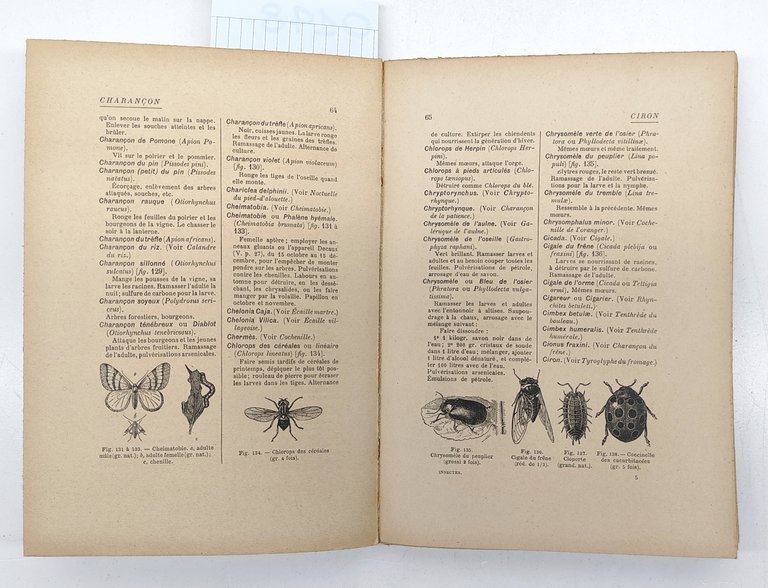 A. L. Clement Destruction Des Insectes Et Autres Animaux Nuisible-Larousse