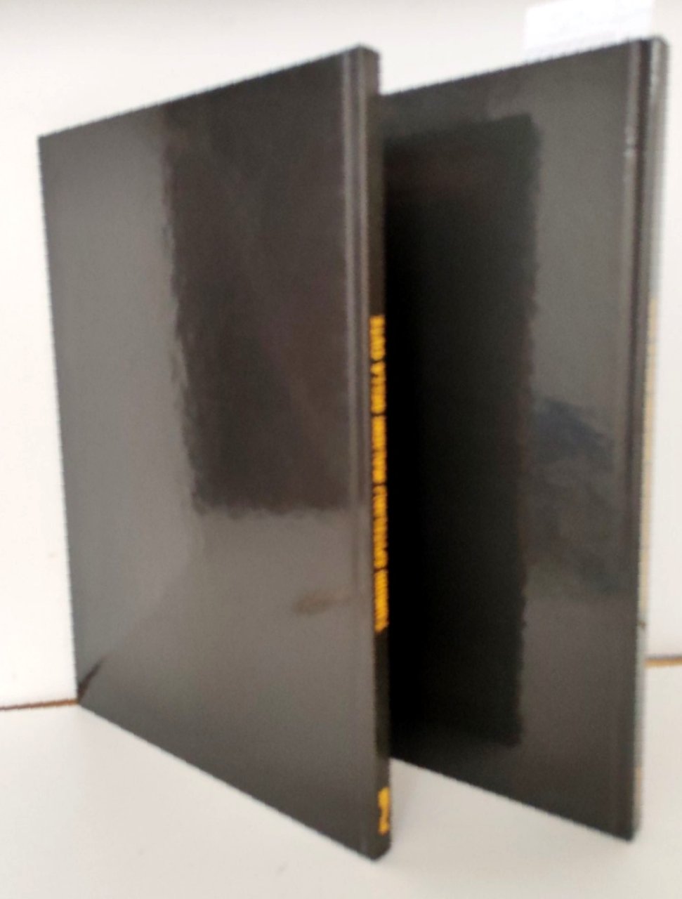 A. Morresi Tumori epiteliali maligni della cute Atlante topografico 2 …