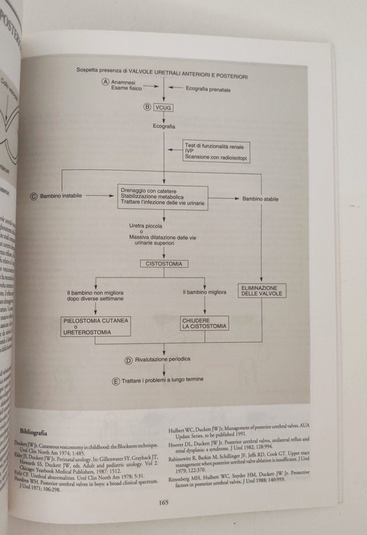 Aa. Vv. Decision making in urologia Momento Medico 1993 2 … | Immagine Gallery 8
