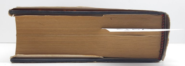 Alfredo Obici Dalle Alpi al Pindo guerra 1940-1941 Società Editrice … | Immagine Gallery 14