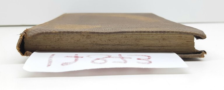 Angelo Pellegrini Roma veduta in otto giorni F.lli Pallotta Roma … | Immagine Gallery 5