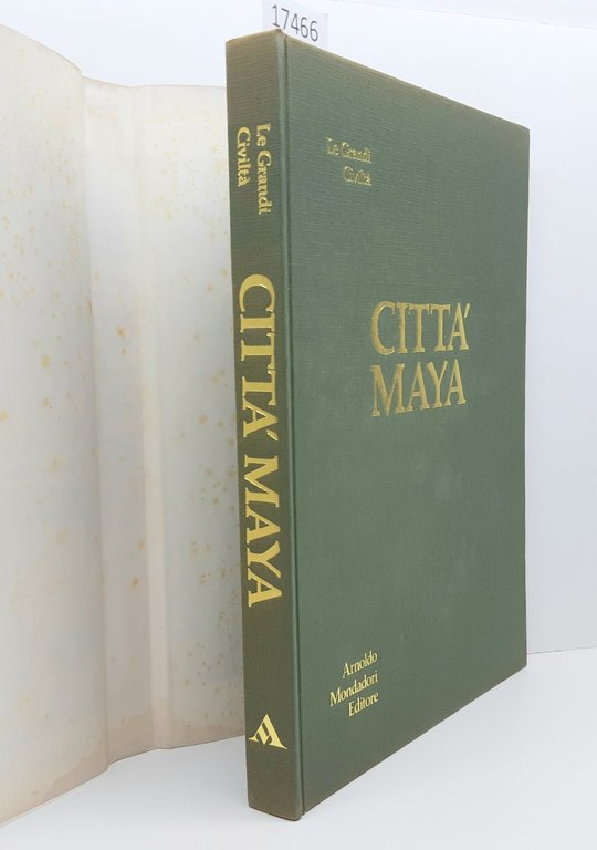Anna Coliva La collezione d'arte del San Paolo Banco di … | Immagine Gallery 3