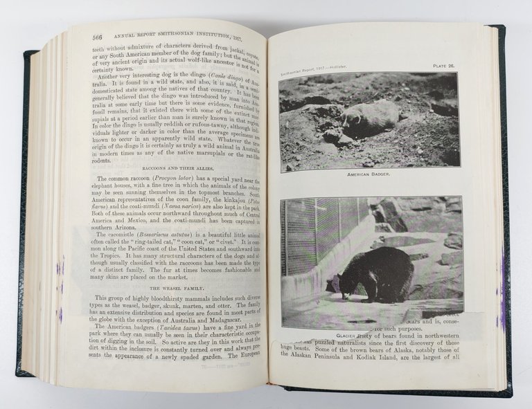 Annual report of the board of regents of the Smithsonian … | Immagine Gallery 9