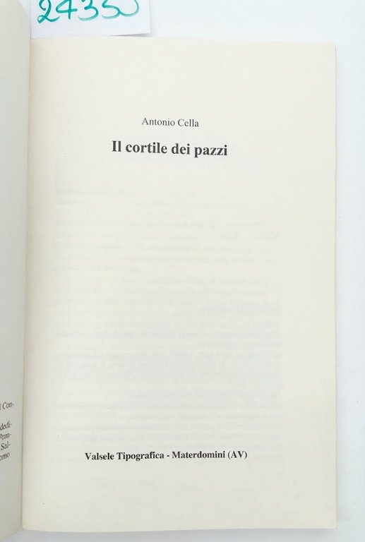 Antonio Cella Il cortile dei pazzi Valsele 1989 | Immagine Gallery 3
