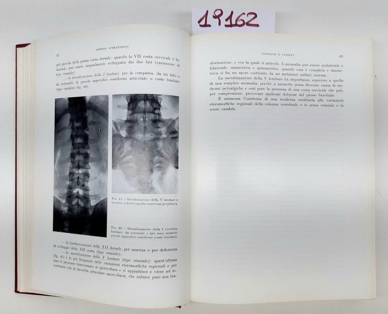 Arduino Ratti Radiologia medica Ambrosiana 1966 5° edizione