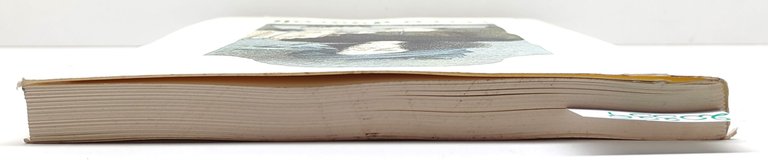 Autori vari Cecco d'Ascoli IPGI 1990