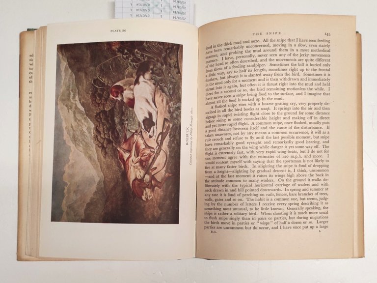 The new naturalist British Game by Brian Veseyv-Fitzgerald Collins 1946 …