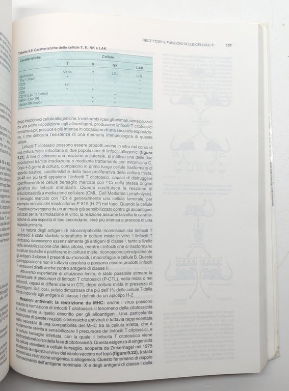 Bach Lesavre Immunologia 1991 Flammarion Medicine | Immagine Gallery 5