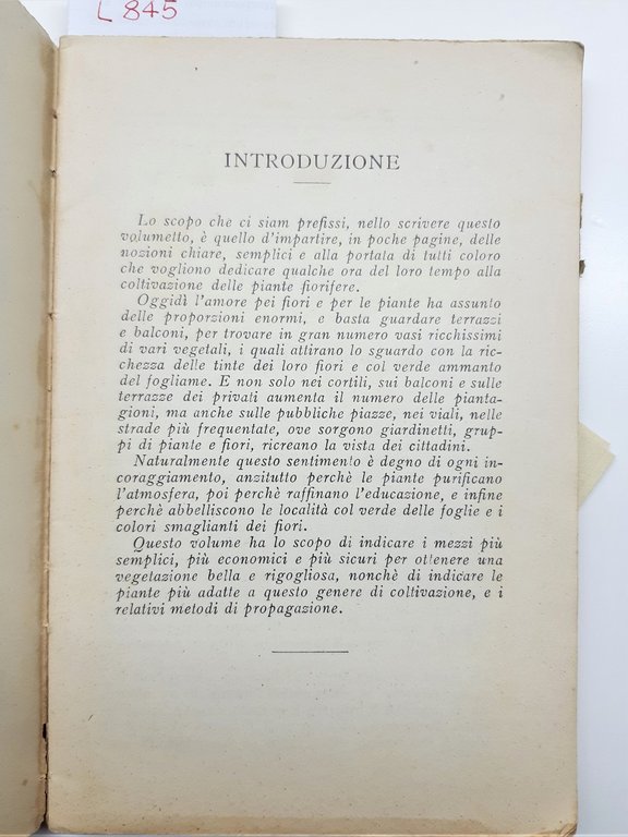 Biblioteca Popolare di coltura Rosa Adler Piante Da Giardino Vallardi …
