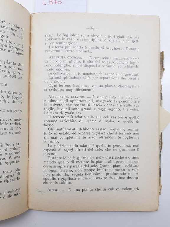 Biblioteca Popolare di coltura Rosa Adler Piante Da Giardino Vallardi …